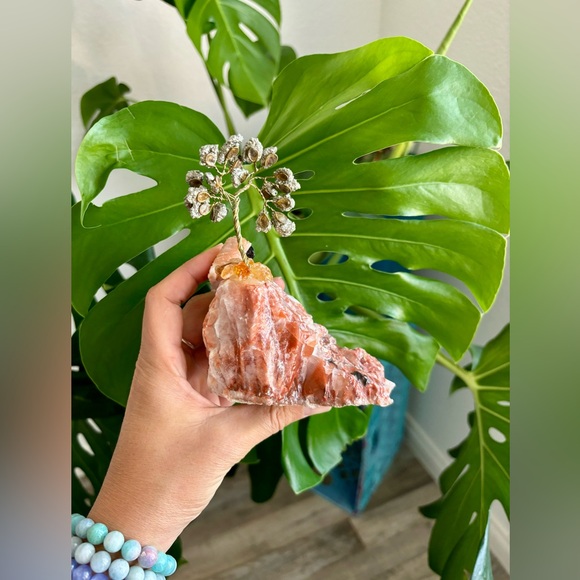 Parrot carving & Tree on Salmon calcite - Picture 6 of 6